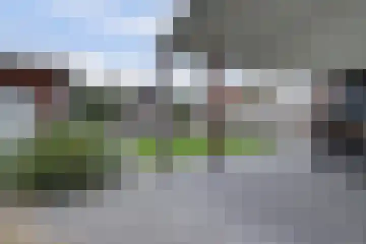 Grasakker 9 Druten thumbnail 47
