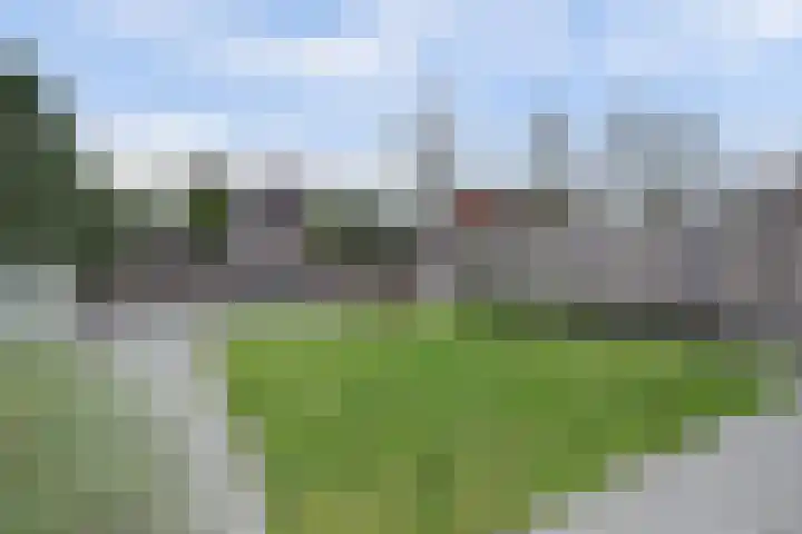 Grasakker 9 Druten thumbnail 50