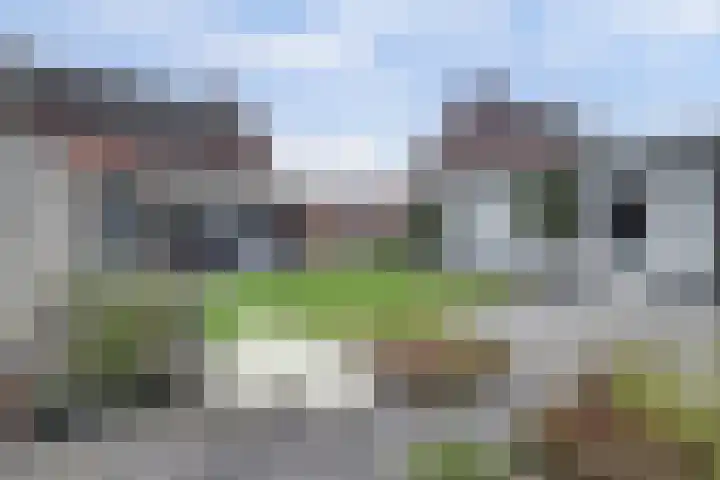 Grasakker 9 Druten thumbnail 51