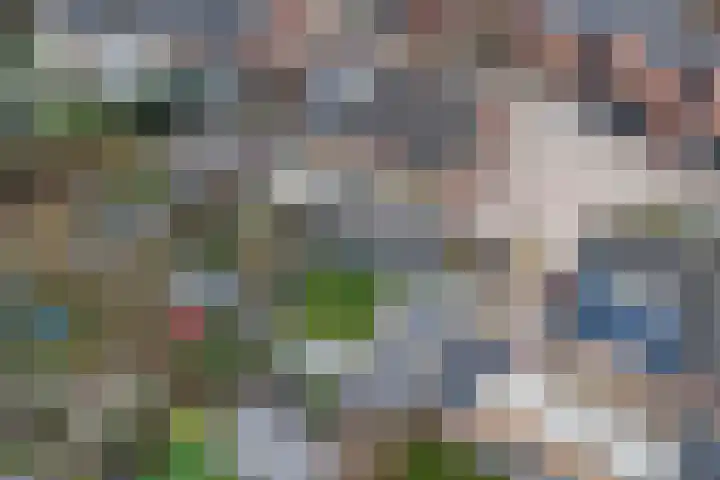 Grasakker 9 Druten thumbnail 58