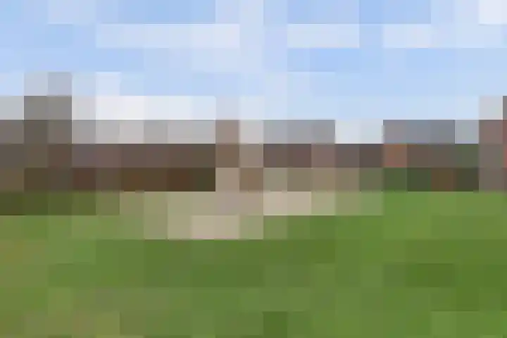 Grasakker 9 Druten thumbnail 64