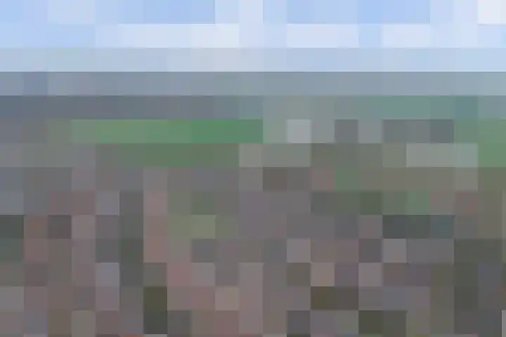 Grasakker 9 Druten thumbnail 65