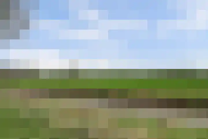 Grasakker 9 Druten thumbnail 68