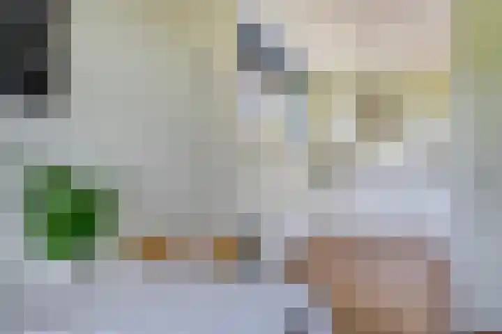 Grasbaan 128 Eindhoven thumbnail 15