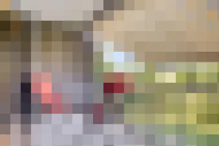 Grasbaan 128 Eindhoven thumbnail 19