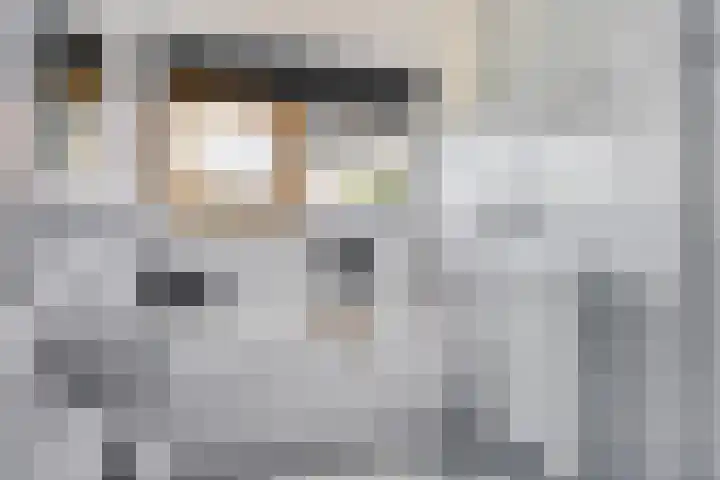 Grasbaan 128 Eindhoven thumbnail 26