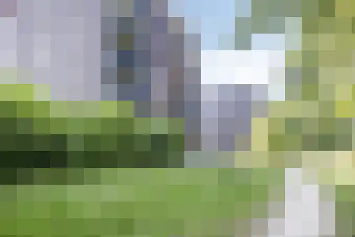 Grasbaan 128 Eindhoven thumbnail 33