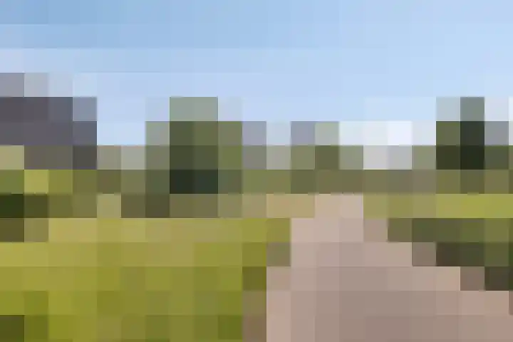 Grasbaan 128 Eindhoven thumbnail 34