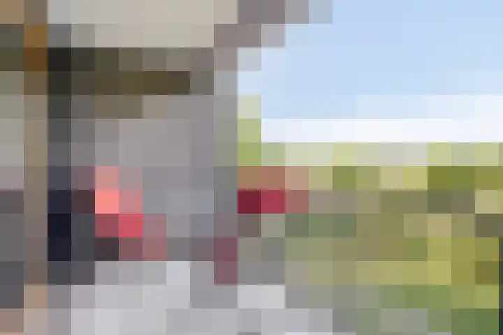 Grasbaan 128 Eindhoven thumbnail 5