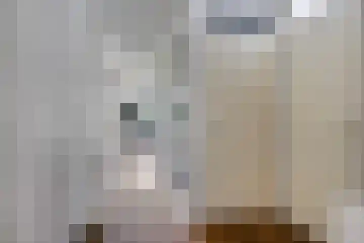 Grasbaan 68 Eindhoven thumbnail 11