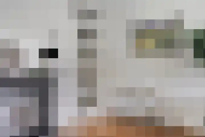 Grasbaan 68 Eindhoven thumbnail 13