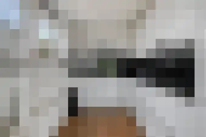 Grasbaan 68 Eindhoven thumbnail 14