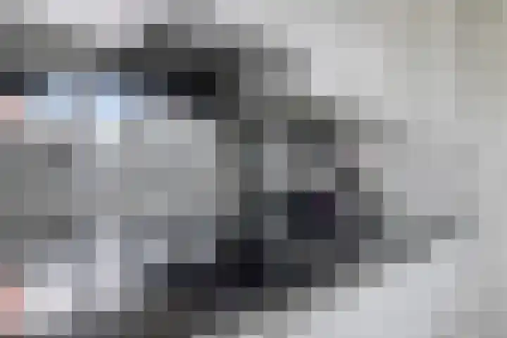 Grasbaan 68 Eindhoven thumbnail 17
