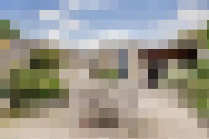 Grasbaan 68 Eindhoven thumbnail 24