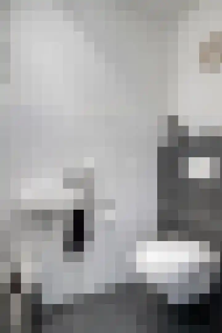 Grasbaan 68 Eindhoven thumbnail 24