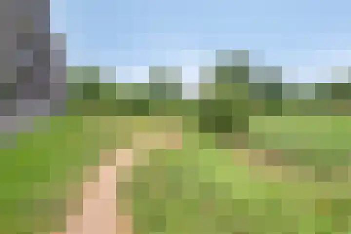 Grasbaan 68 Eindhoven thumbnail 29