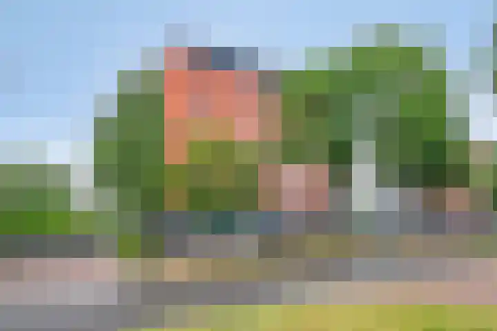 Grasbaan 68 Eindhoven thumbnail 30