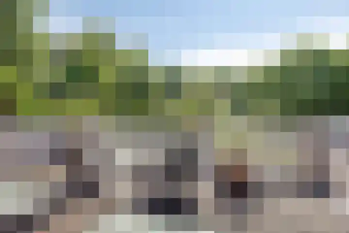 Grasbaan 68 Eindhoven thumbnail 31