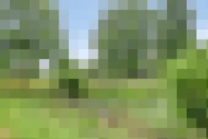 Grasbaan 68 Eindhoven thumbnail 32