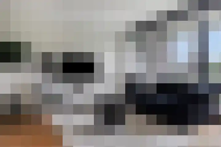 Grasbaan 68 Eindhoven thumbnail 5
