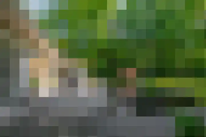 Grasbaan 68 Eindhoven thumbnail 6