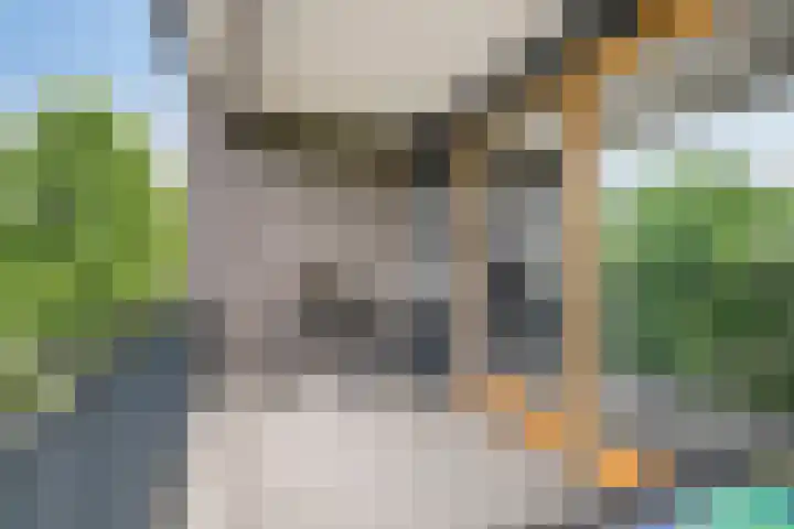 Grasbaan 68 Eindhoven thumbnail 9