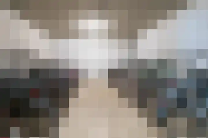Grasbaan 76 Eindhoven thumbnail 27
