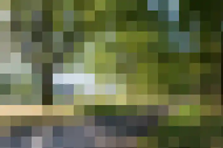 Grasbaan 76 Eindhoven thumbnail 39