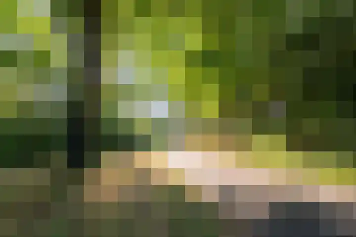 Grasbaan 76 Eindhoven thumbnail 40