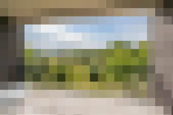 Grasbaan 76 Eindhoven thumbnail 7