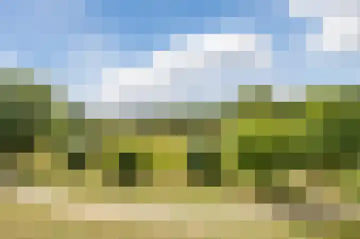 Grasbaan 76 Eindhoven thumbnail 9