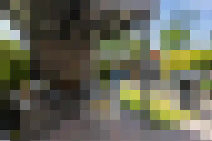 Grasbeemd 2 Eindhoven thumbnail 37