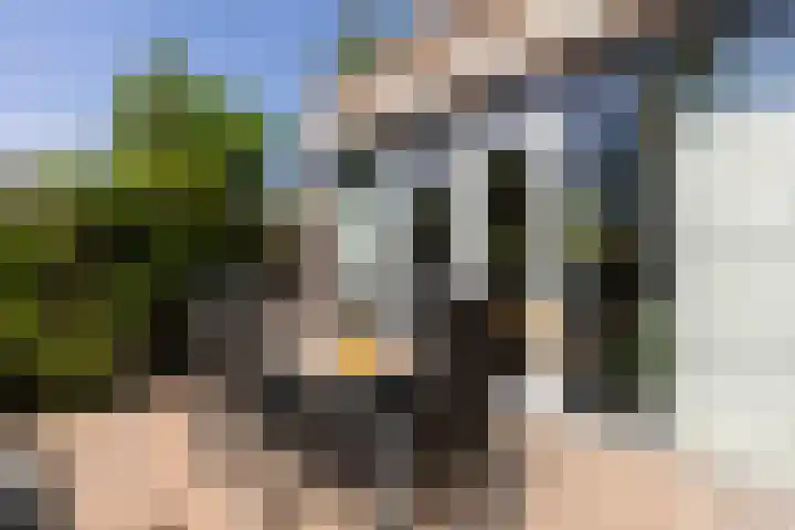 Grasbeemd 2 Eindhoven thumbnail 44