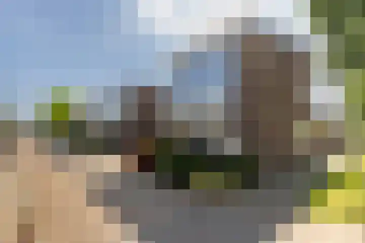 Grasbeemd 2 Eindhoven thumbnail 47