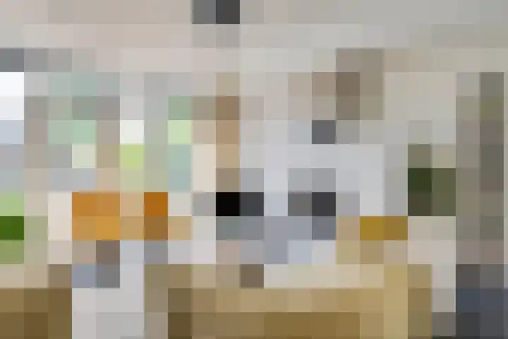Grasbeemd 2 Eindhoven thumbnail 5