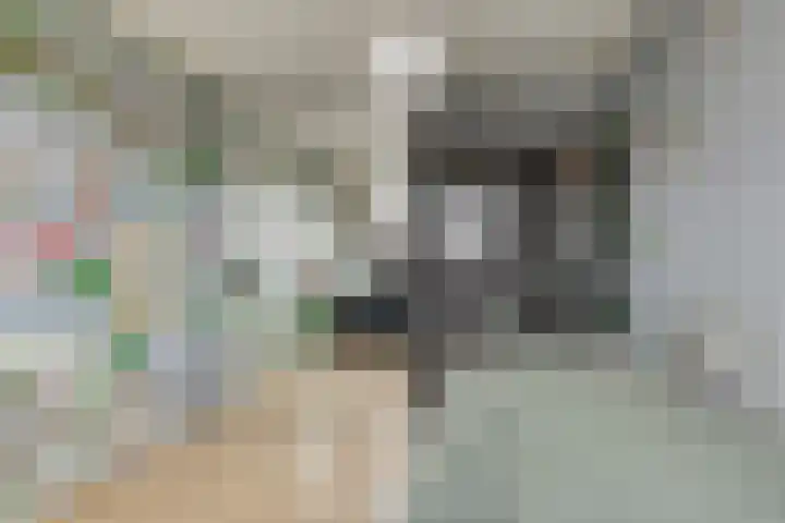 Grasbeemd 28 Assen thumbnail 24