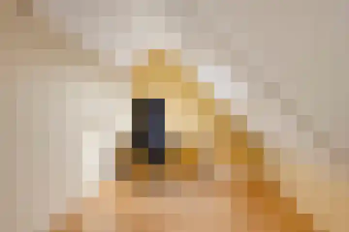 Grasbeemd 28 Assen thumbnail 28