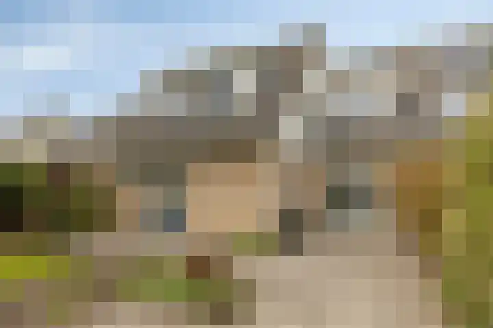 Grasbeemd 28 Assen thumbnail 32