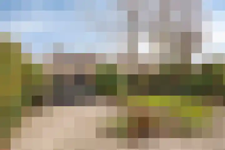 Grasbeemd 28 Assen thumbnail 34