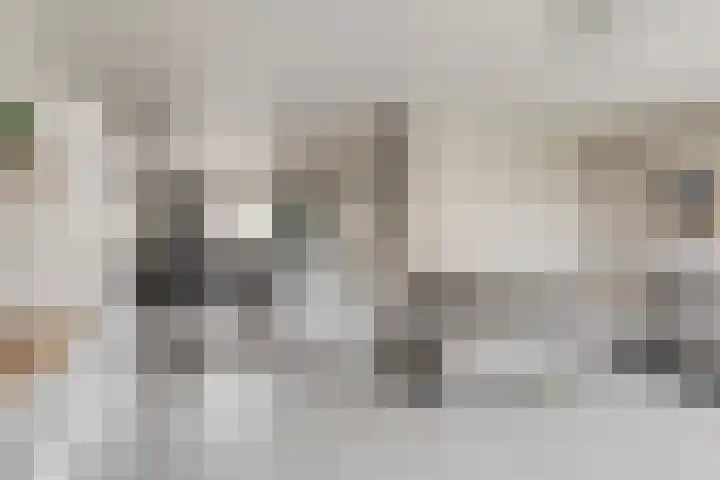 Grasbeemd 28 Assen thumbnail 6