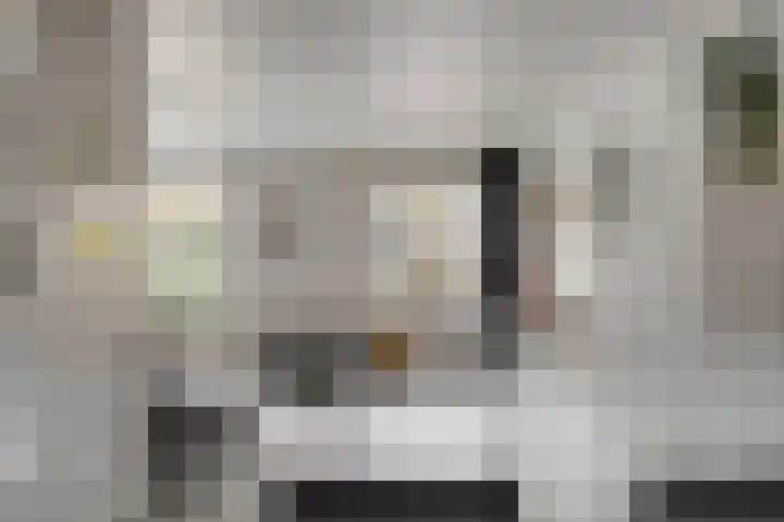 Grasbeemd 28 Assen thumbnail 7