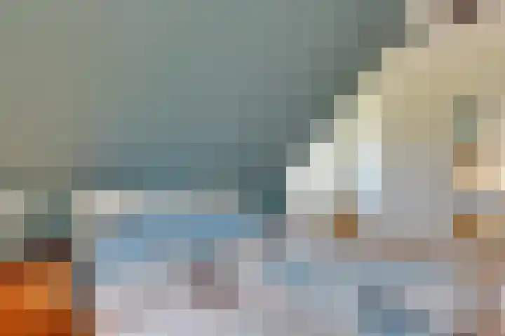 Grasbeemd 32 Assen thumbnail 18