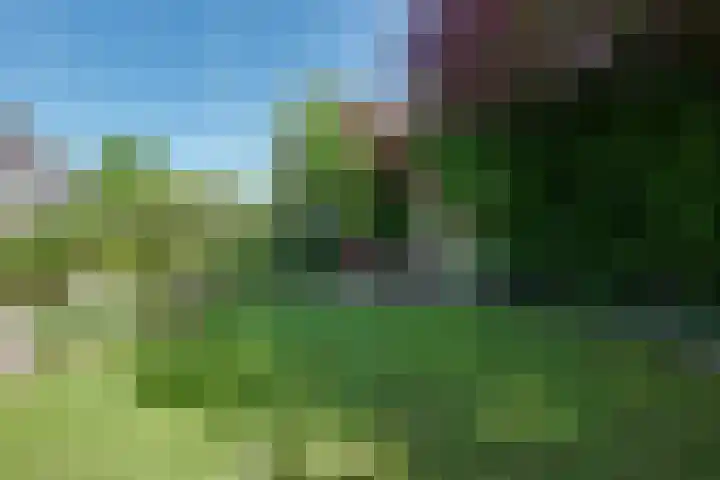 Grasbeemd 32 Assen thumbnail 24