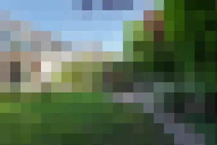 Grasbeemd 32 Assen thumbnail 25