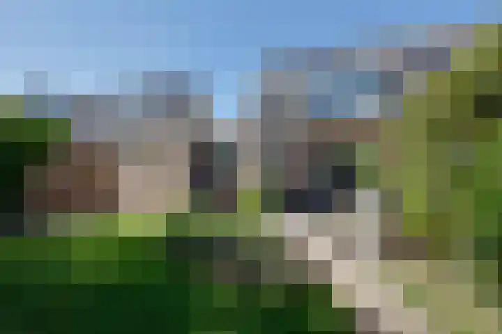 Grasbeemd 32 Assen thumbnail 27