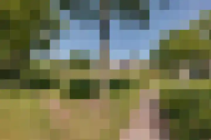 Grasbeemd 32 Assen thumbnail 28
