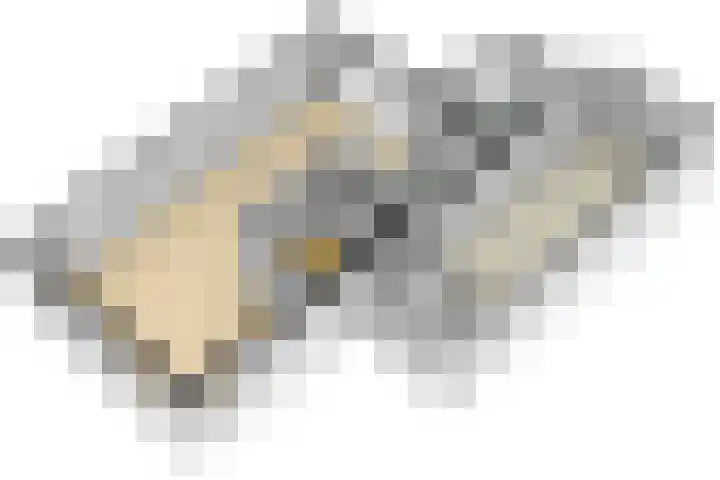 Grasbeemd 32 Assen thumbnail 32