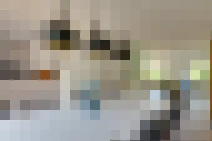 Grasbeemd 32 Assen thumbnail 8