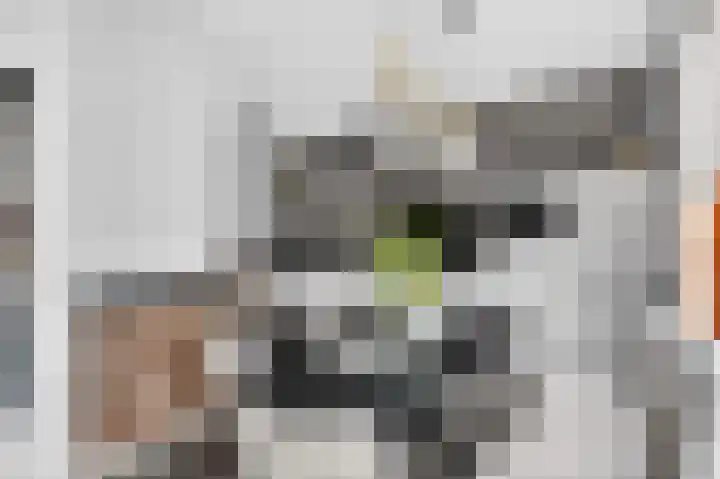 Grasbloem 67 Eindhoven thumbnail 11