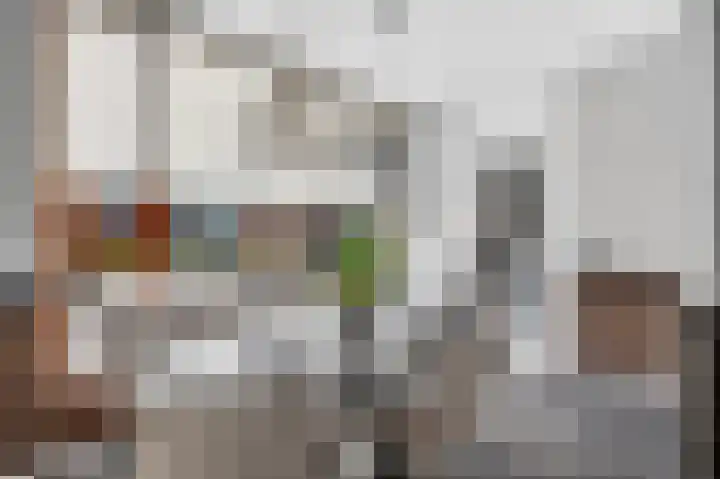Grasbloem 67 Eindhoven thumbnail 14